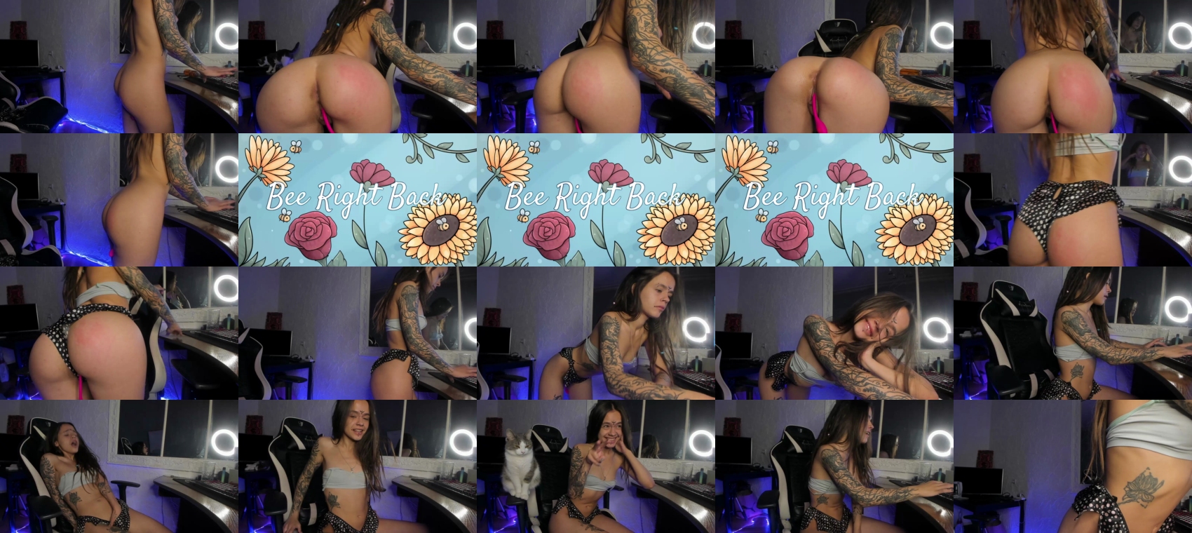 Preview