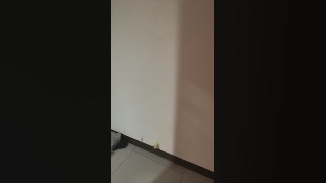 Ed114206  25-07-2022 Recorded Video bigass