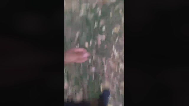 Morenosp2021  25-07-2022 Recorded Video natural