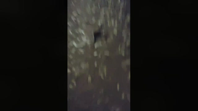 Morenosp2021  25-07-2022 Recorded Video naked
