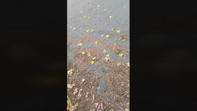 Public___  26-07-2022 Recorded Video sexymale