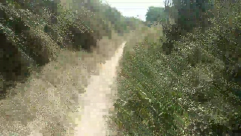 despacitofonsi  26-07-2022 Recorded Video dirty