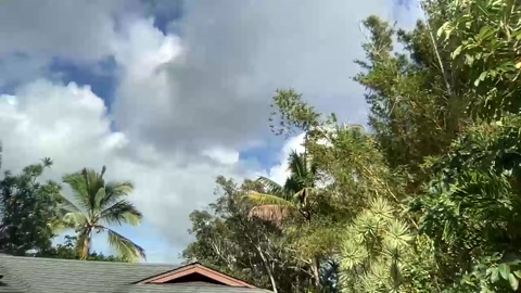 jungleliving333  26-07-2022 video horny