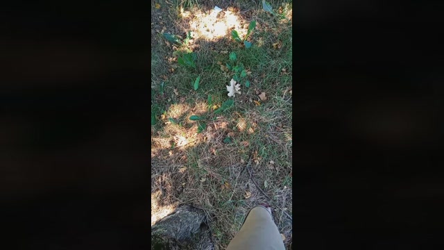 Public___  27-07-2022 Recorded Video twink