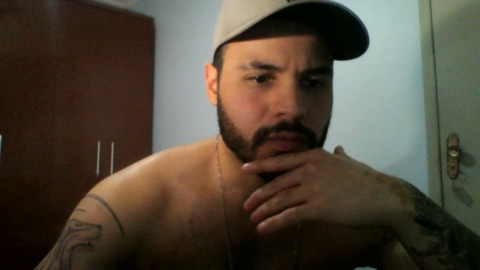 henri_dino