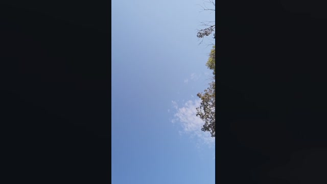 JoMenz  28-07-2022 Recorded Video big
