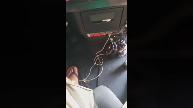 Public___  28-07-2022 Recorded Video nasty