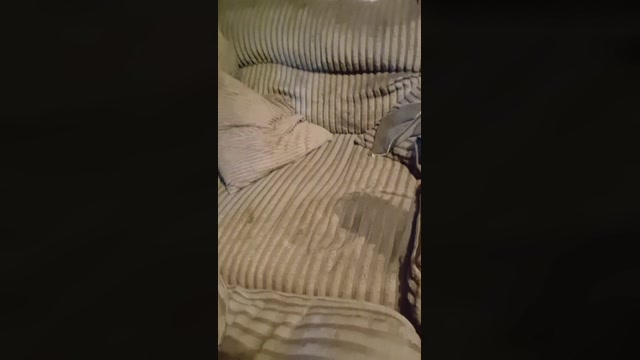 Stayliquid  28-07-2022 Recorded Video bigtoys