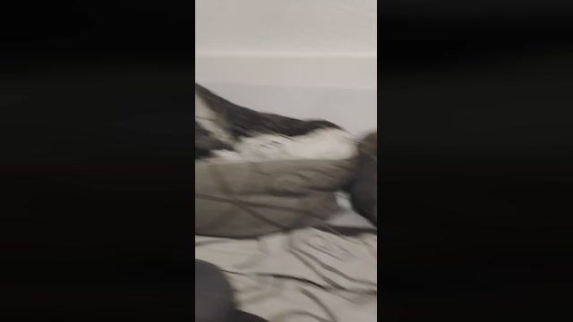 WiederSacha  27-07-2022 Recorded Video big