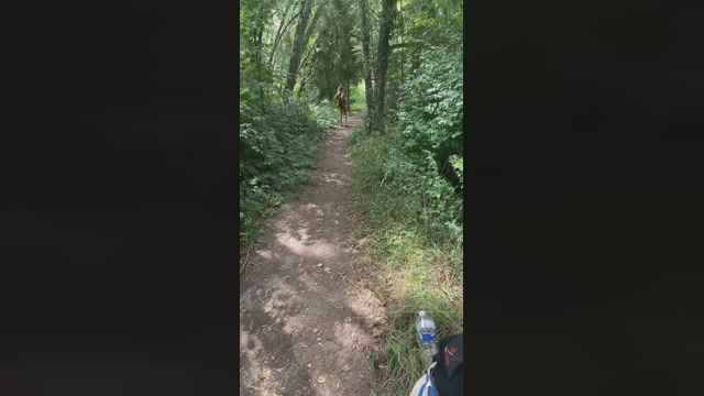 amanilouve 28-07-2022 fuckface 