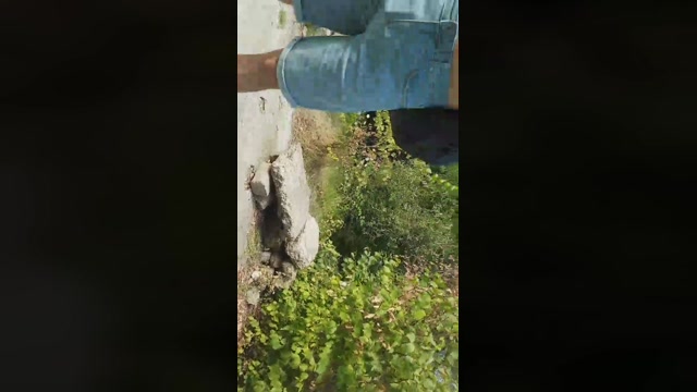 emanuele033  28-07-2022 Recorded Video deep