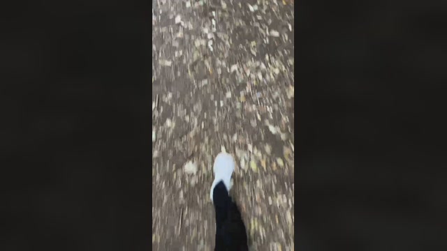 harman0344  27-07-2022 Recorded Video Video