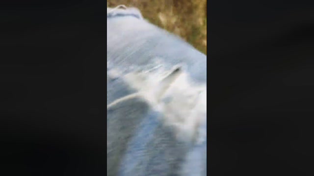 Mirko035  29-07-2022 Recorded Video ass