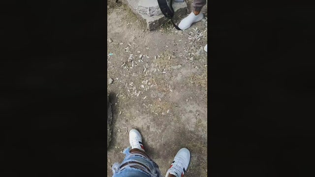 Mirko035  29-07-2022 Recorded Video jackoff