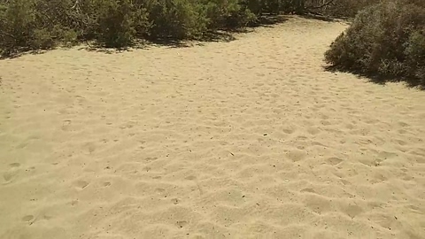 Pabloysebas  28-07-2022 Recorded Video wank