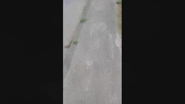 Public___  28-07-2022 Recorded Video suckshow