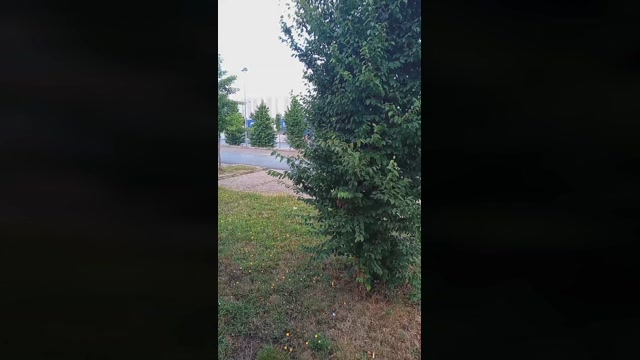 Public___  29-07-2022 Recorded Video bigtoys