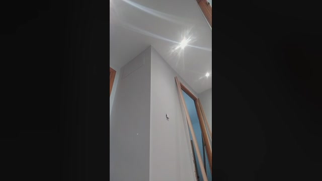 Seloloko  29-07-2022 Recorded Video sexy