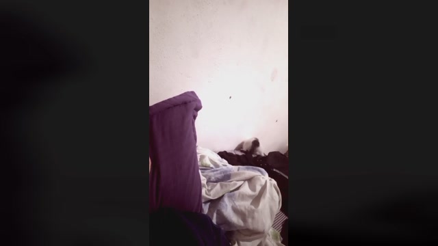 aandreoliveira  29-07-2022 Recorded Video gag