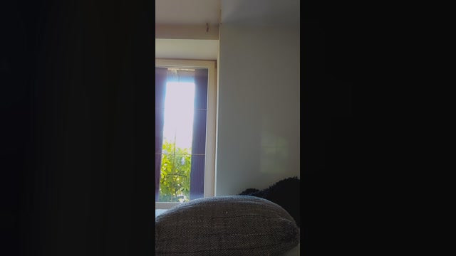 Leanympho 30-07-2022 sucktits 