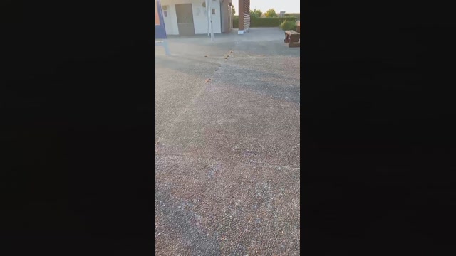 Public___  30-07-2022 Recorded Video analsex
