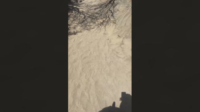 cambeach4  30-07-2022 Recorded Video Pretty