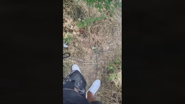 Mirko035  31-07-2022 Recorded Video play
