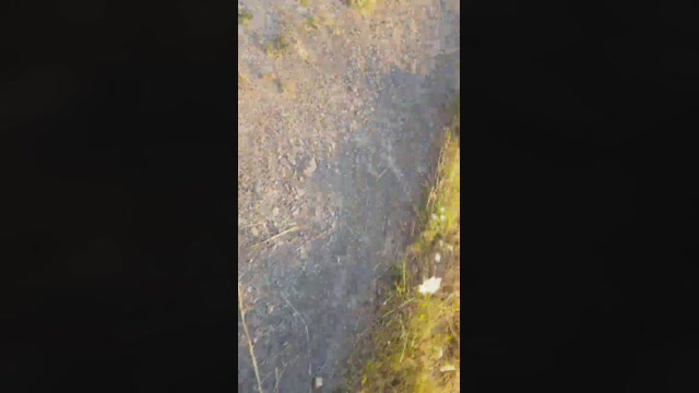 Xdolf  30-07-2022 Recorded Video bigballs