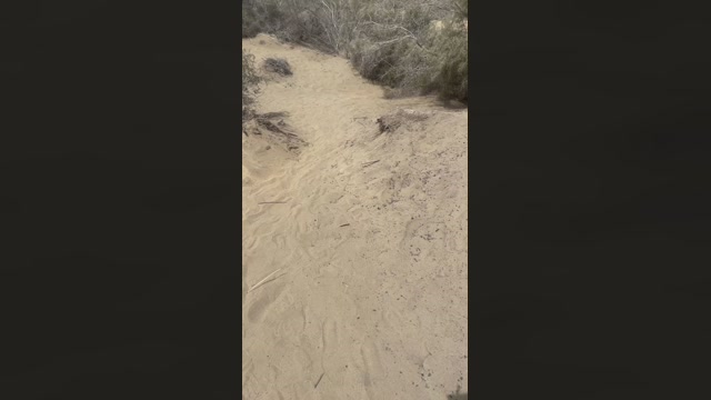 cambeach4  31-07-2022 Recorded Video wank