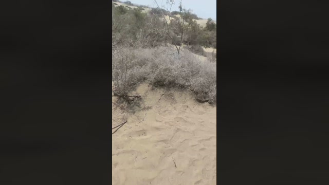 cambeach4  31-07-2022 Recorded Video Porn