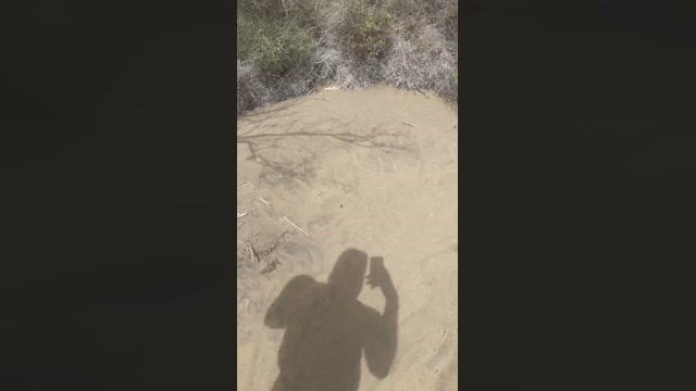 cambeach4  31-07-2022 Recorded Video analsex