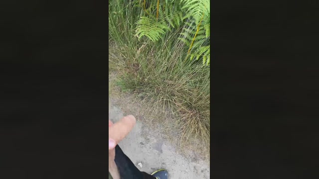 jason26nl  31-07-2022 Recorded Video jerkoff