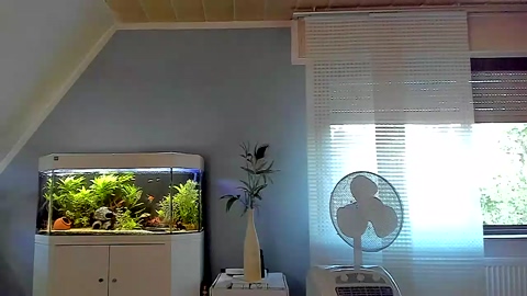 ronhill13  30-07-2022 Recorded Video big