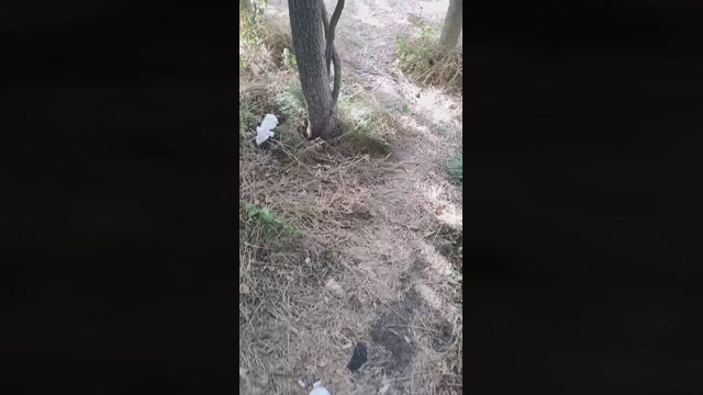 Mirko035  01-08-2022 Recorded Video Topless