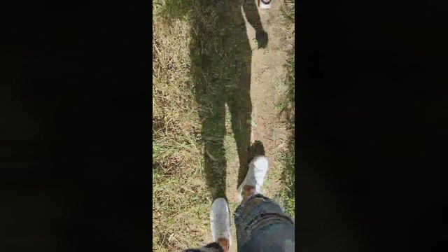 Mirko035  01-08-2022 Recorded Video analtoy