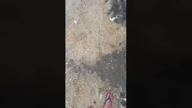 Public___  31-07-2022 Recorded Video bigass