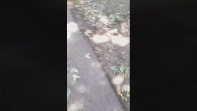 big_blackc  01-08-2022 Recorded Video Topless