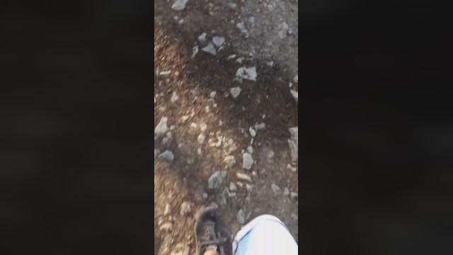 bizon30  01-08-2022 Recorded Video deep