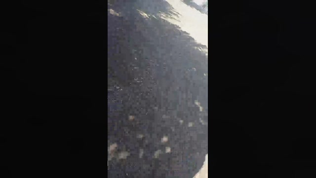 edgar3014  01-08-2022 Recorded Video skinny
