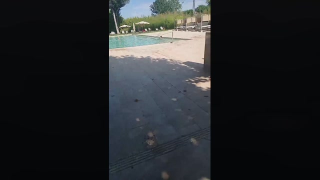 edgar3014  01-08-2022 Recorded Video Video