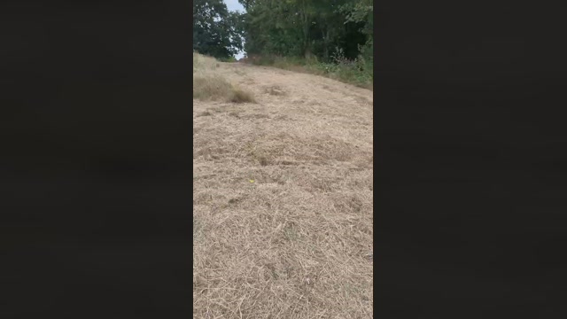 Dan0709  02-08-2022 Recorded Video Video