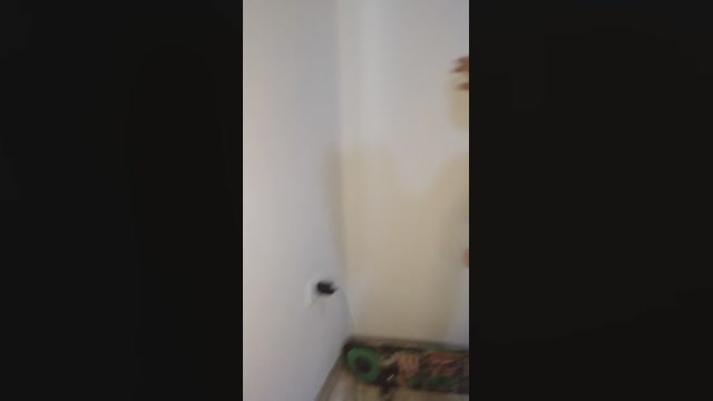 godoyzinho  01-08-2022 Recorded Video fuckass