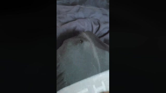jeunemale5_sexy  02-08-2022 Recorded Video bigballs