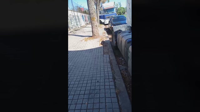 Public___  03-08-2022 Recorded Video bigcock