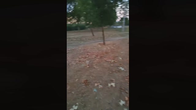 Public___  02-08-2022 Recorded Video Ass