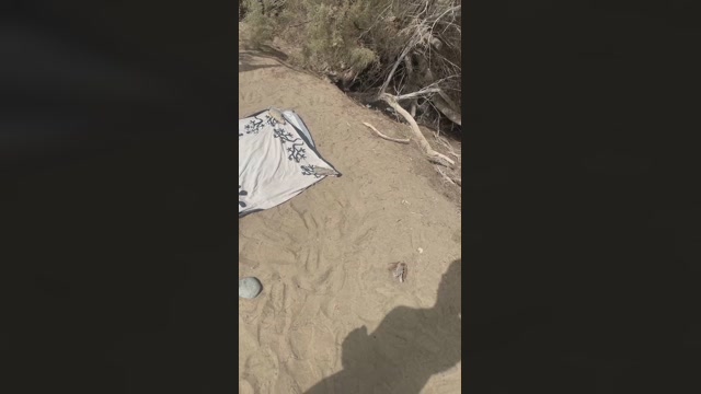 cambeach4  02-08-2022 Recorded Video big