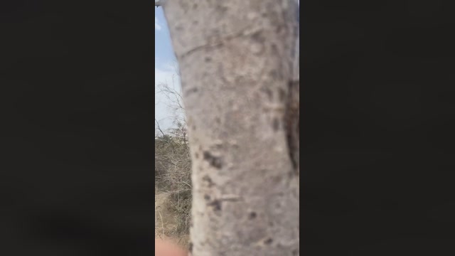 cambeach4  02-08-2022 Recorded Video sexy