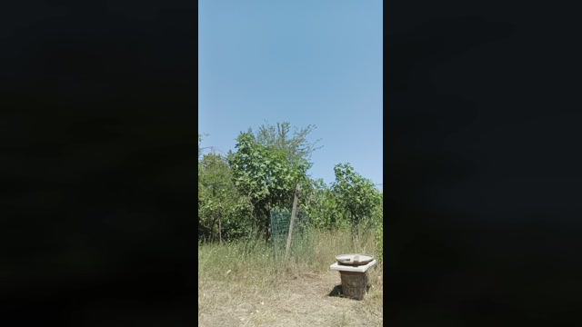 Danythailand  04-08-2022 Recorded Video hard