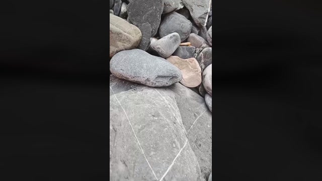 Feffo2  03-08-2022 Recorded Video Topless