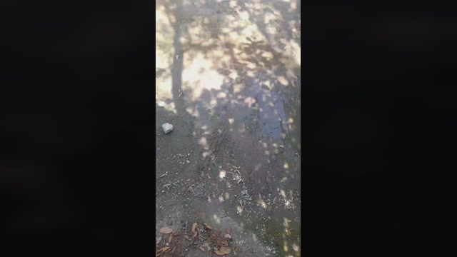 big_blackc  04-08-2022 Recorded Video deepthroat